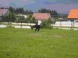A zase ty obrany